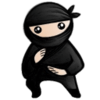 System Ninja