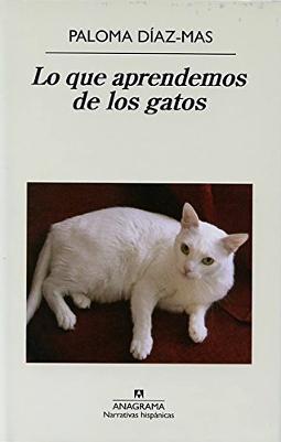 Lo que aprendemos de los gatos