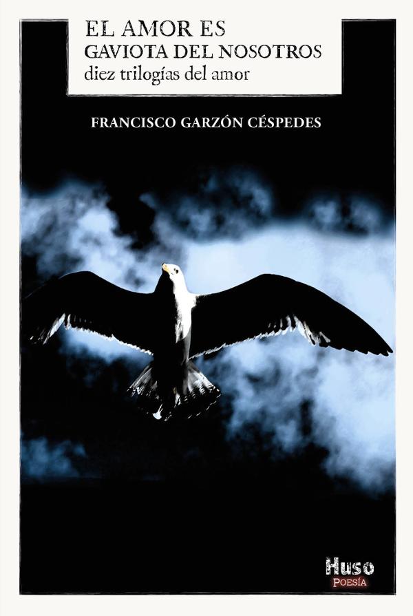 Portada de El amor es gaviota del nosotros